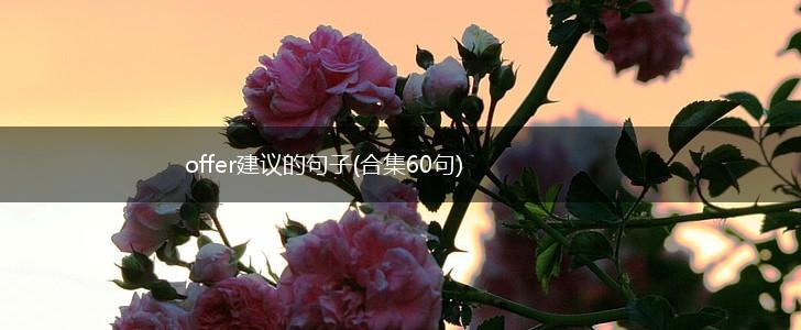 offer建议的句子(合集60句),第1张