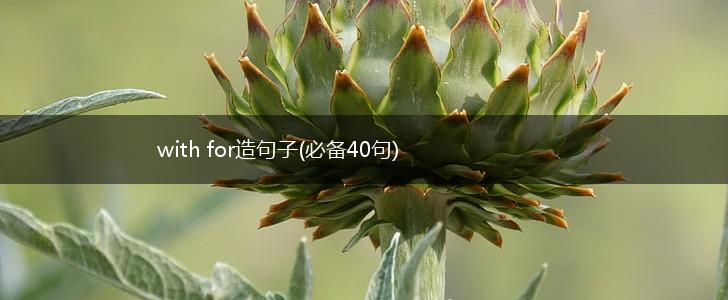 with for造句子(必备40句),第1张