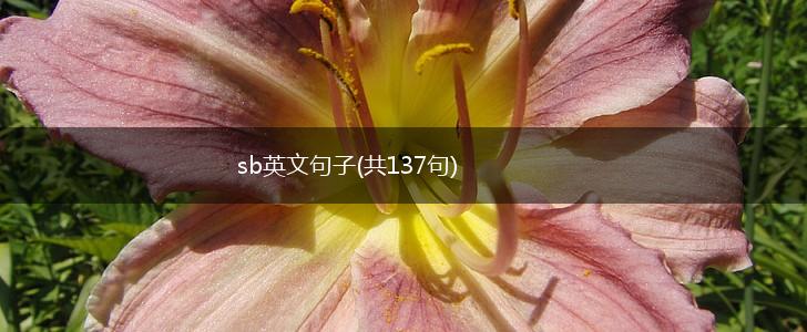 sb英文句子(共137句),第1张