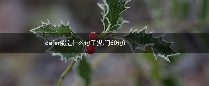 defer能造什么句子(热门60句),第1张
