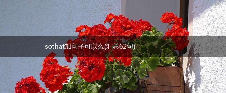 sothat加句子可以么(汇总62句),第1张