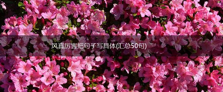 风真厉害把句子写具体(汇总50句),第1张