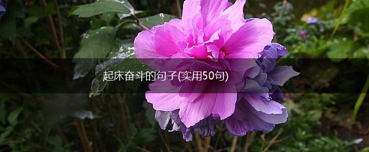 起床奋斗的句子(实用50句),第1张