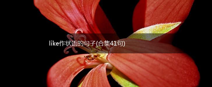 like作状语的句子(合集41句),第1张