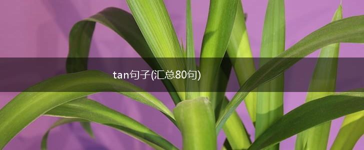 tan句子(汇总80句),第1张