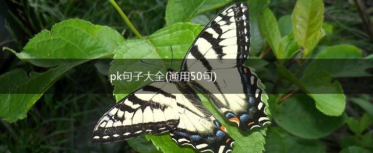 pk句子大全(通用50句),第1张