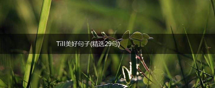 Till美好句子(精选29句),第1张