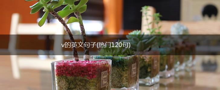 v的英文句子(热门120句),第1张