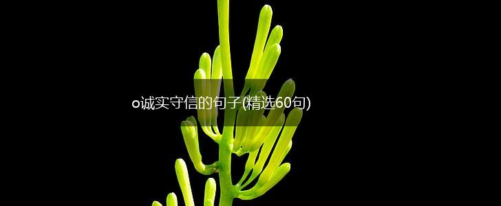 o诚实守信的句子(精选60句),第1张