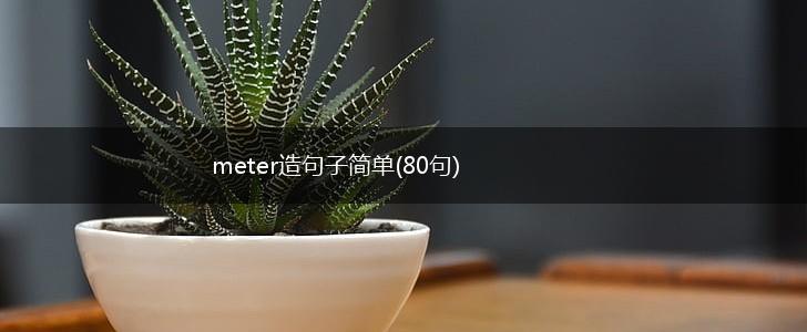 meter造句子简单(80句),第1张