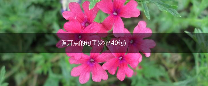 看开点的句子(必备40句),第1张