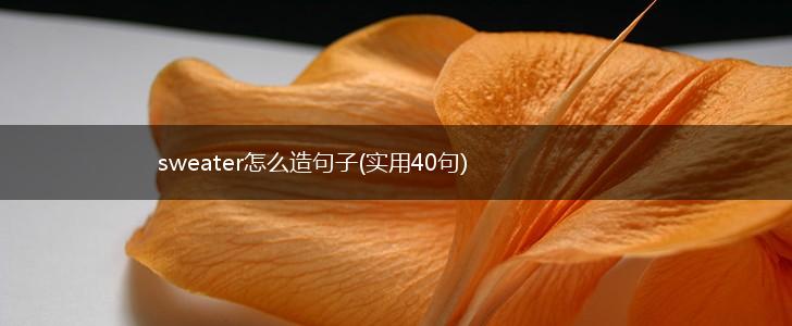 sweater怎么造句子(实用40句),第1张