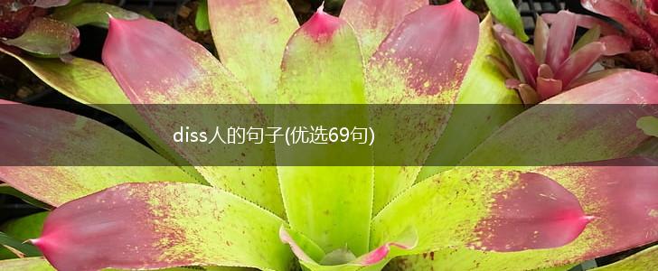 diss人的句子(优选69句),第1张