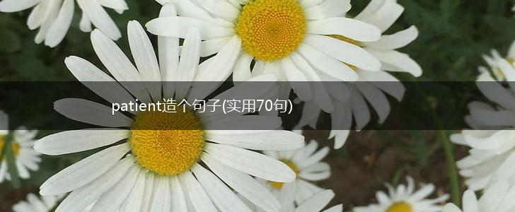 patient造个句子(实用70句),第1张