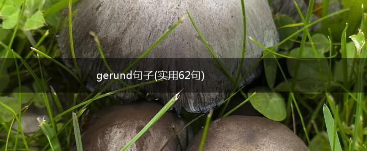 gerund句子(实用62句),第1张