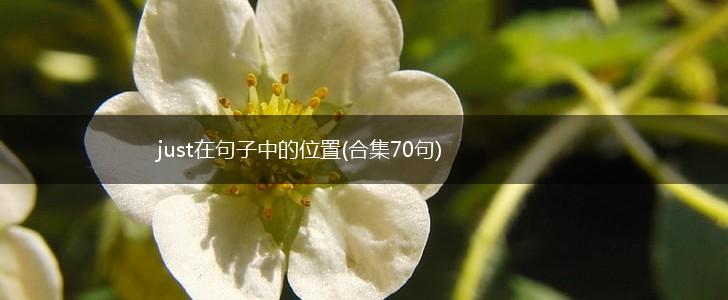just在句子中的位置(合集70句),第1张
