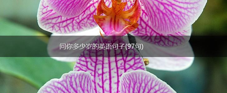 问你多少岁的英语句子(97句),第1张