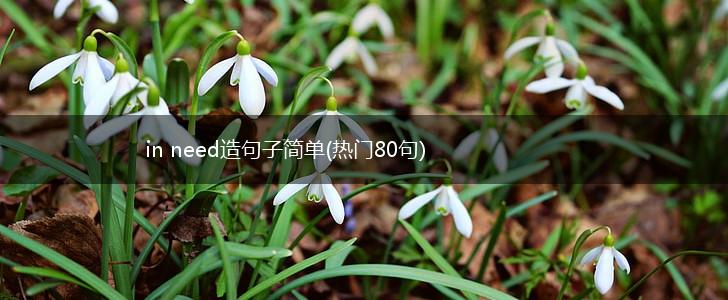 in need造句子简单(热门80句),第1张