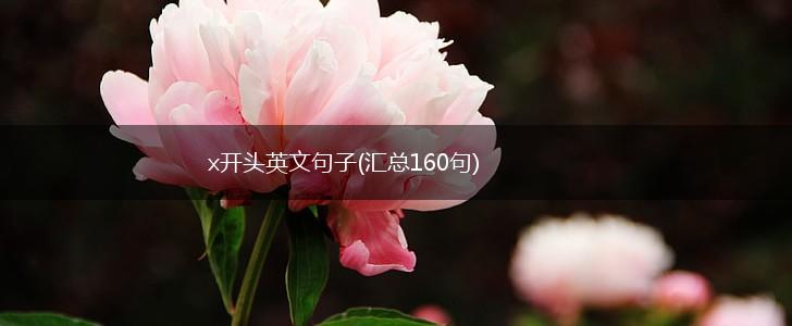 x开头英文句子(汇总160句),第1张