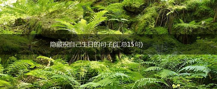 隐藏祝自己生日的句子(汇总15句),第1张