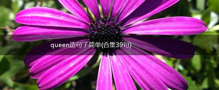 queen造句子简单(合集39句),第1张