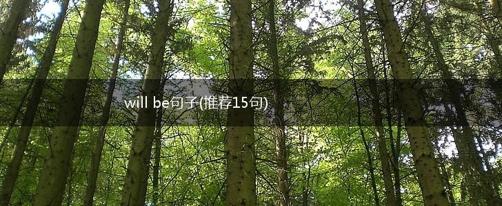 will be句子(推荐15句),第1张