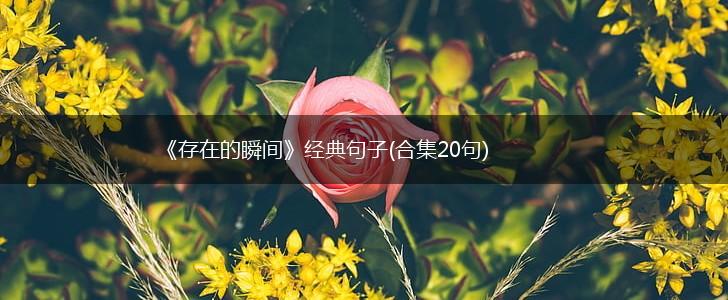 《存在的瞬间》经典句子(合集20句),第1张