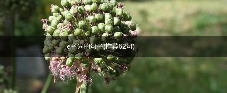 e名词的句子(推荐62句),第1张