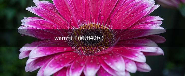 warn句子(通用40句),第1张