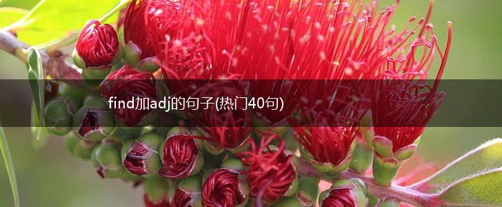 find加adj的句子(热门40句),第1张