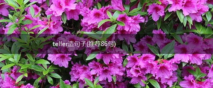 teller造句子(推荐86句),第1张