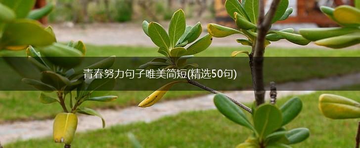 青春努力句子唯美简短(精选50句),第1张