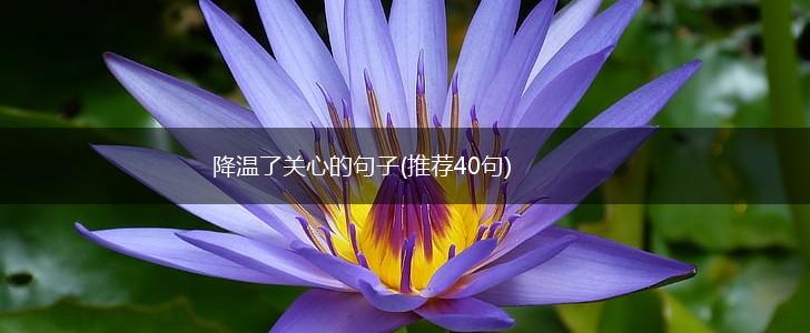 降温了关心的句子(推荐40句),第1张