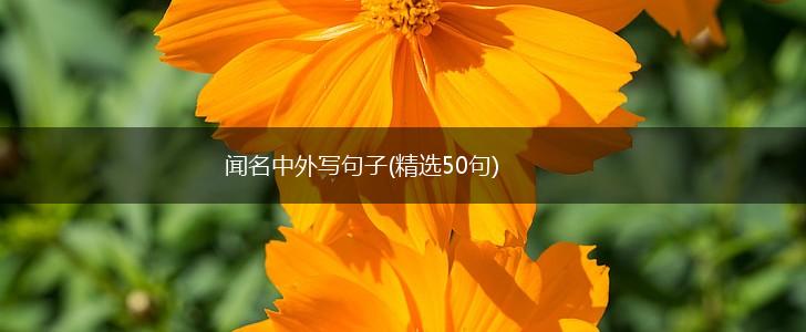 闻名中外写句子(精选50句),第1张