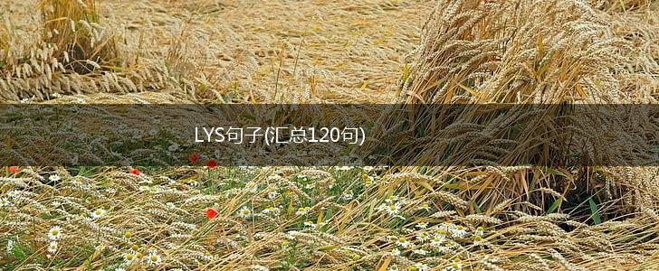 LYS句子(汇总120句),第1张