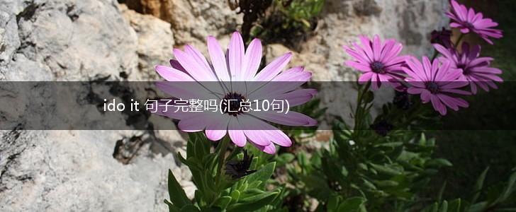 ido it 句子完整吗(汇总10句),第1张