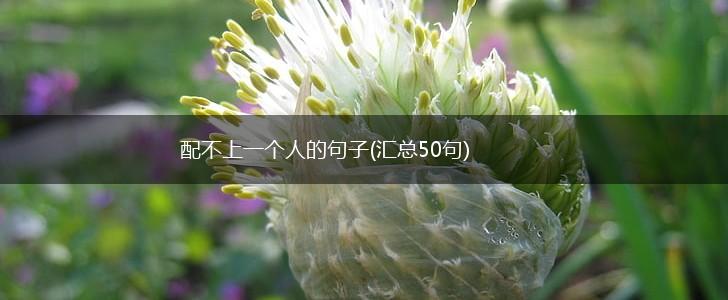 配不上一个人的句子(汇总50句),第1张