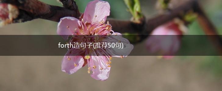 forth造句子(推荐50句),第1张