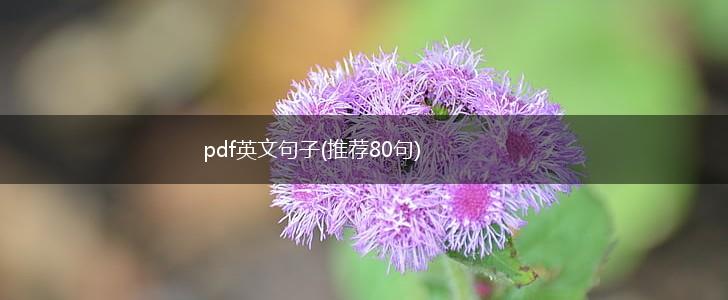 pdf英文句子(推荐80句),第1张