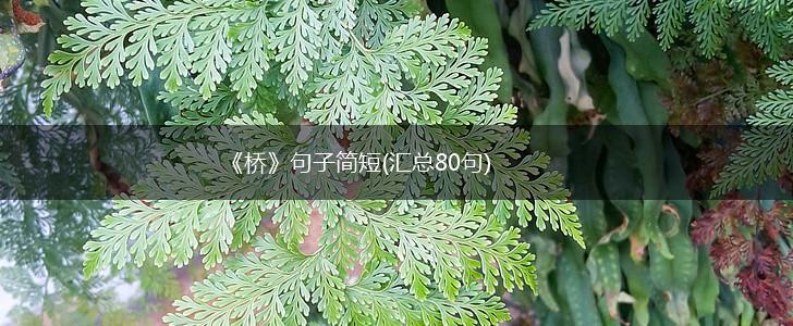 《桥》句子简短(汇总80句),第1张