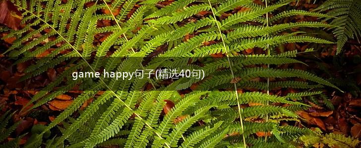 game happy句子(精选40句),第1张
