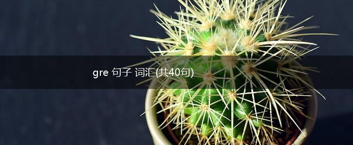 gre 句子 词汇(共40句),第1张