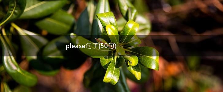please句子(50句),第1张