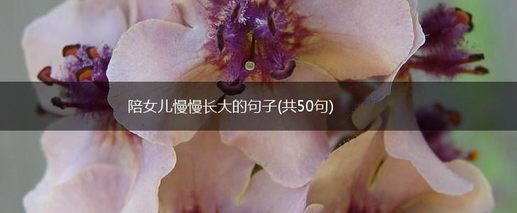 陪女儿慢慢长大的句子(共50句),第1张