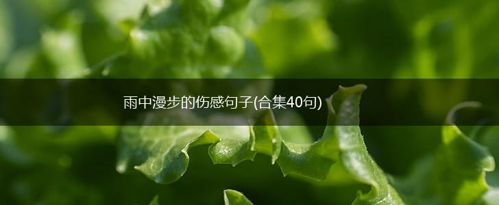 雨中漫步的伤感句子(合集40句),第1张