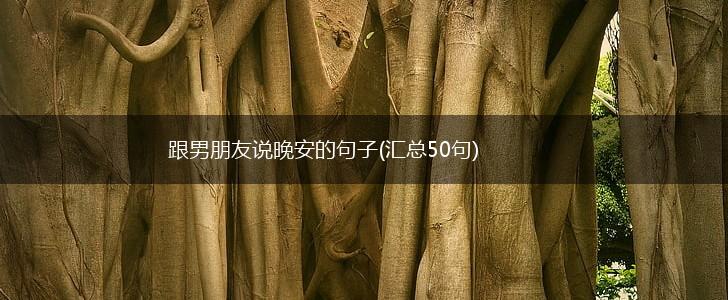 跟男朋友说晚安的句子(汇总50句),第1张