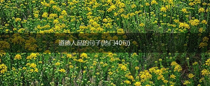 道德人品的句子(热门40句),第1张