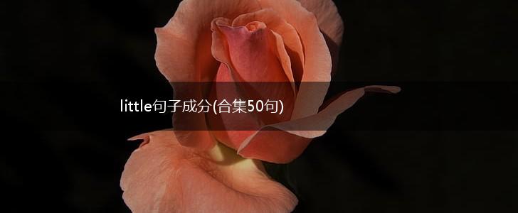 little句子成分(合集50句),第1张