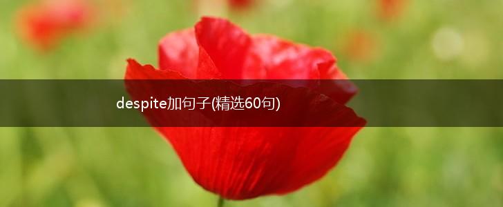 despite加句子(精选60句),第1张