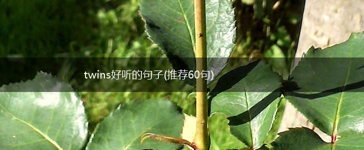 twins好听的句子(推荐60句),第1张